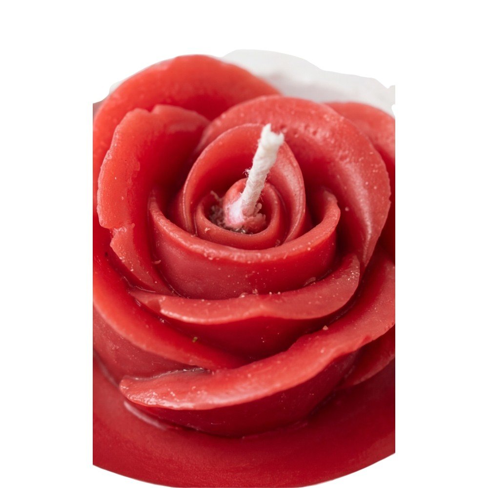 Colección Florilegio: Souvenir set de 5 pzas. Floral en Velas Decorativas