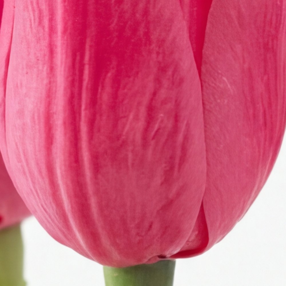 Colección Éclat | Tulipán Fucsia en Arreglo Floral Artificial