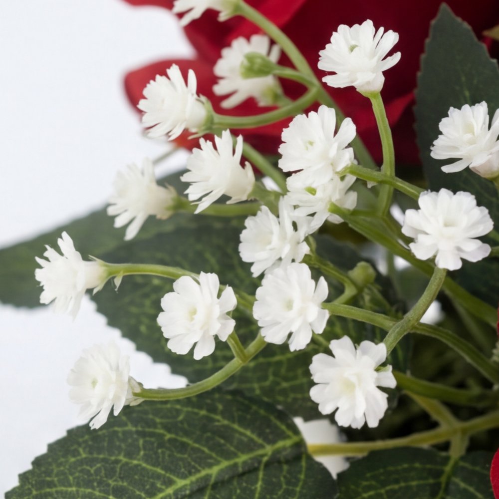 Colección Pasión: Éxtasis de Rosas