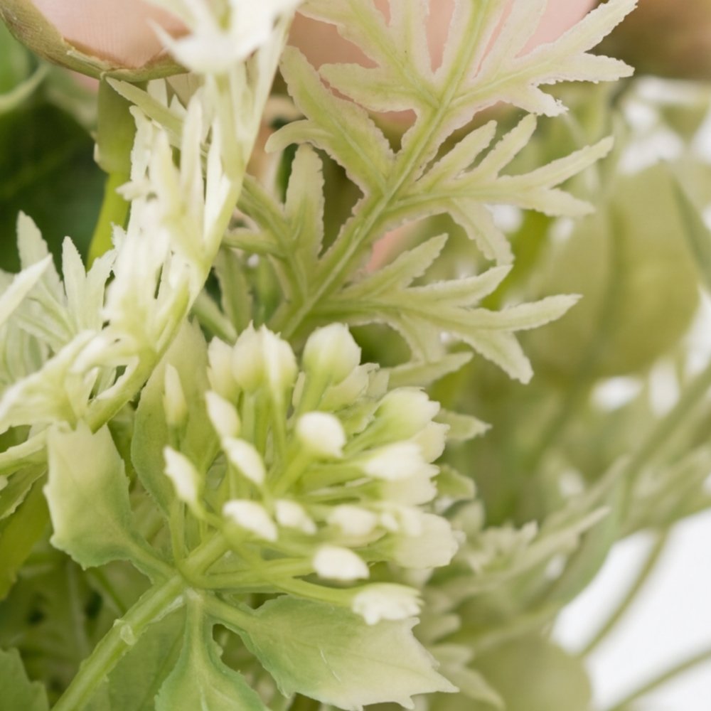 Colección Rosée: Tulipanes en Armonía Minimalista