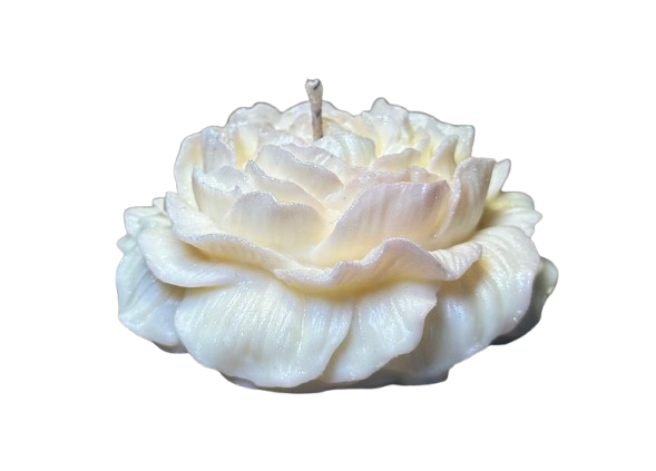 Colección Peonía: Vela XL de Aroma Decorativo Intenso