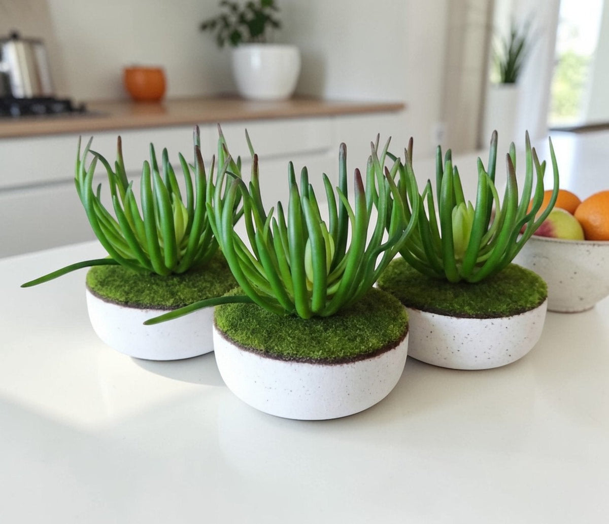 Trio de suculentas verdes 3 pzas. fabricado a mano en el taller Lemich de Ocotlán, Jalisco