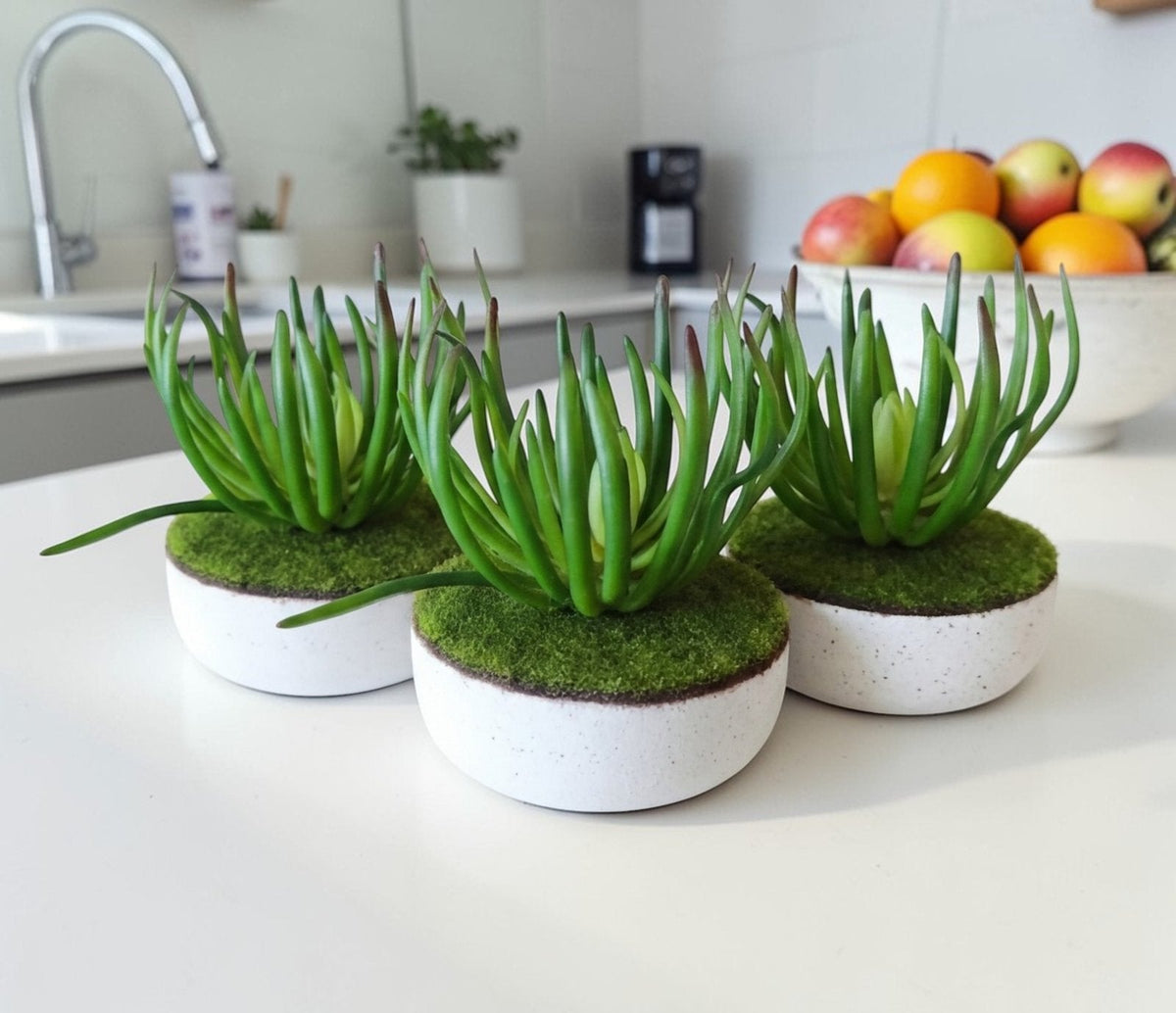 Trio de suculentas verdes 3 pzas. fabricado a mano en el taller Lemich de Ocotlán, Jalisco